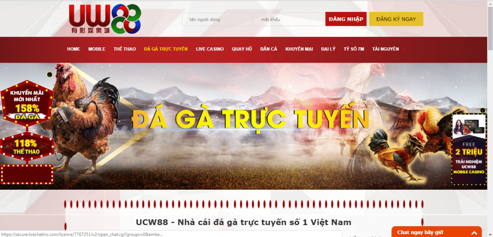 Ucw88 - nhà cái đá gà trực tuyến uy tín nhất Việt Nam